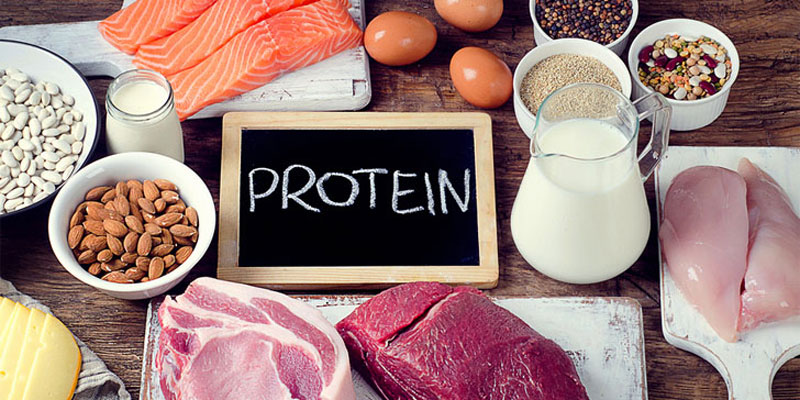 منابع غذایی سرشار از پروتئین